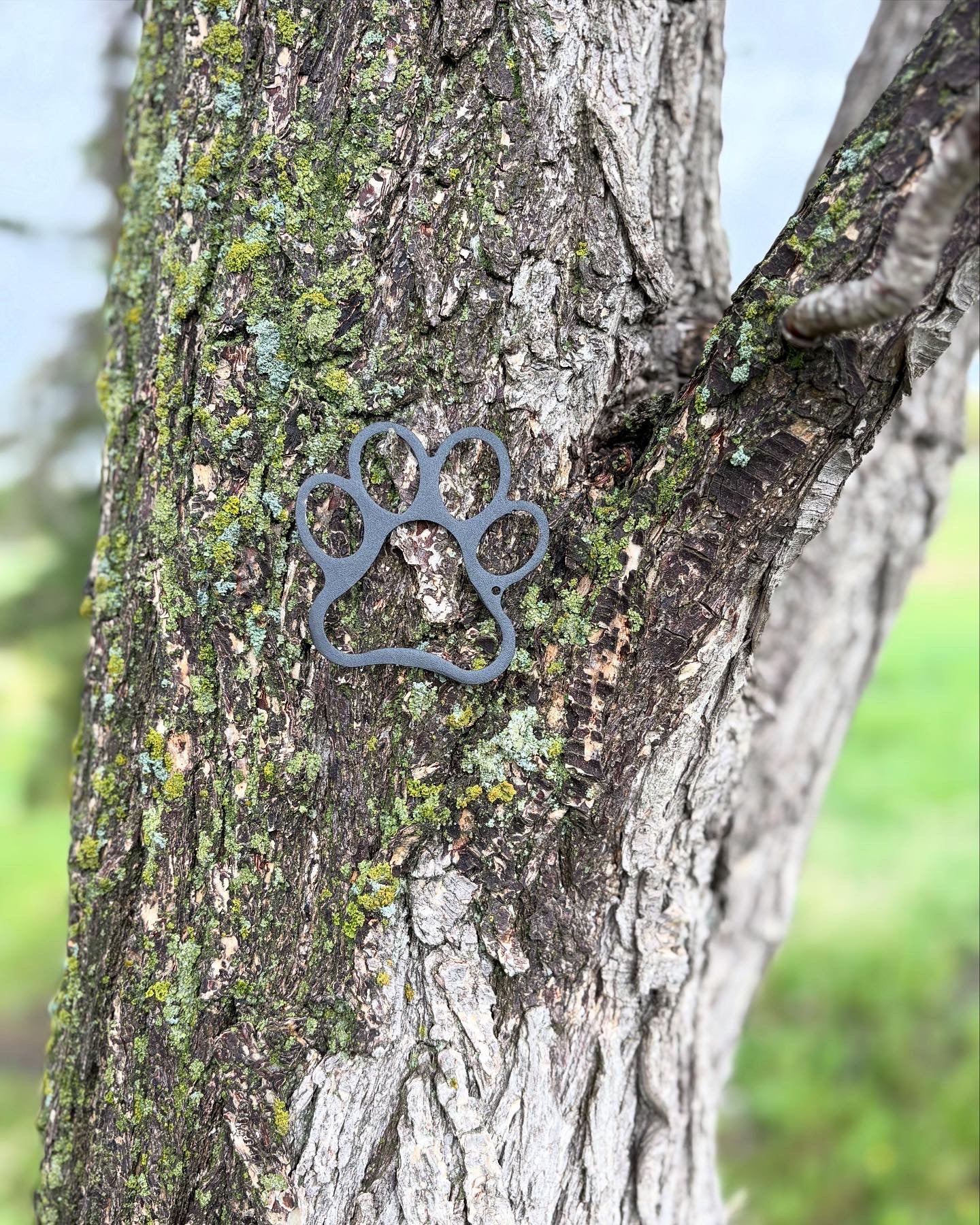 Metal Paw Print