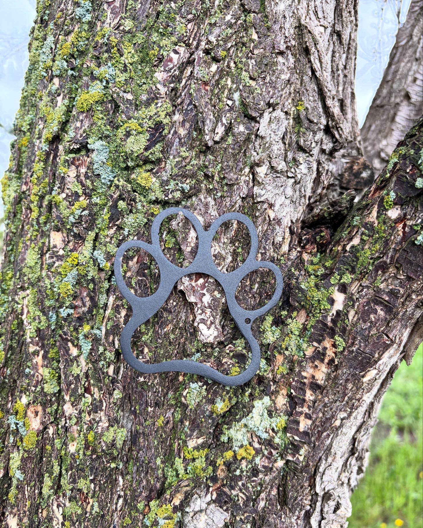 Metal Paw Print