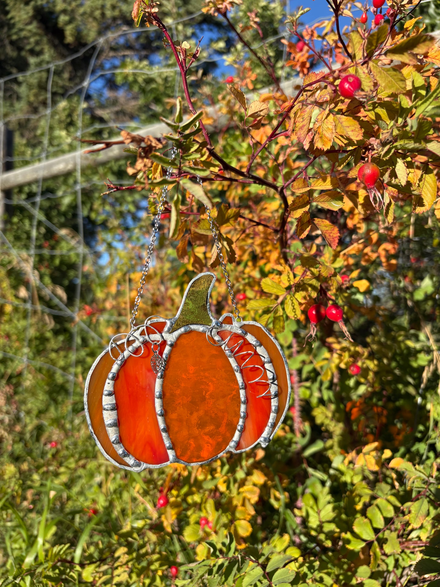 Pumpkin - Orange