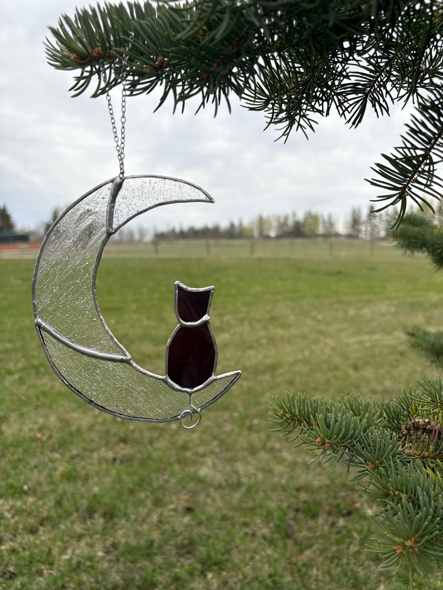 Cat In The Moon - Purple