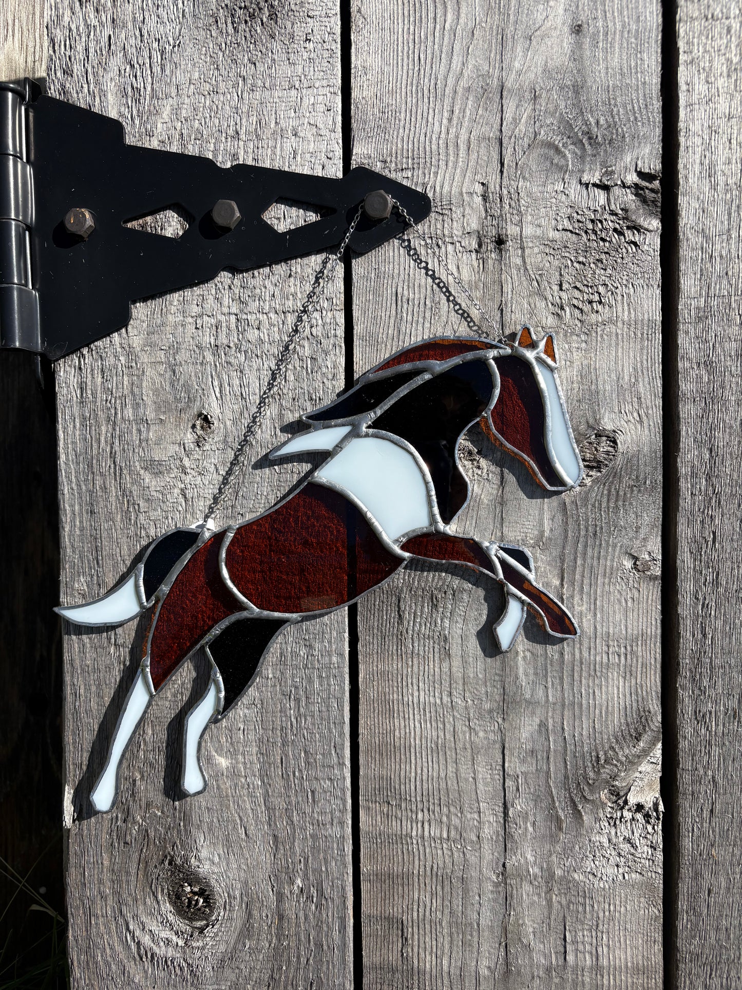 Painted Pony
