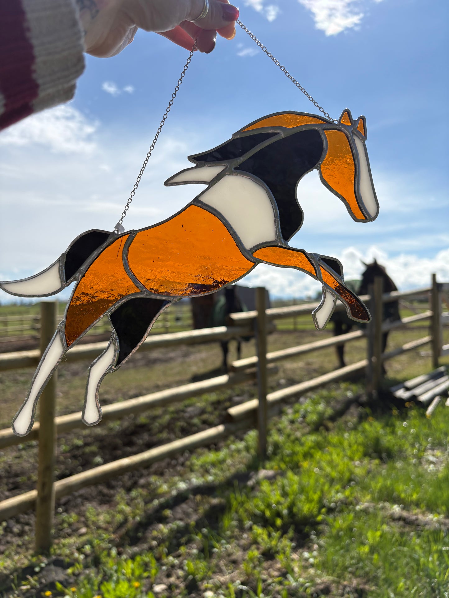 Painted Pony