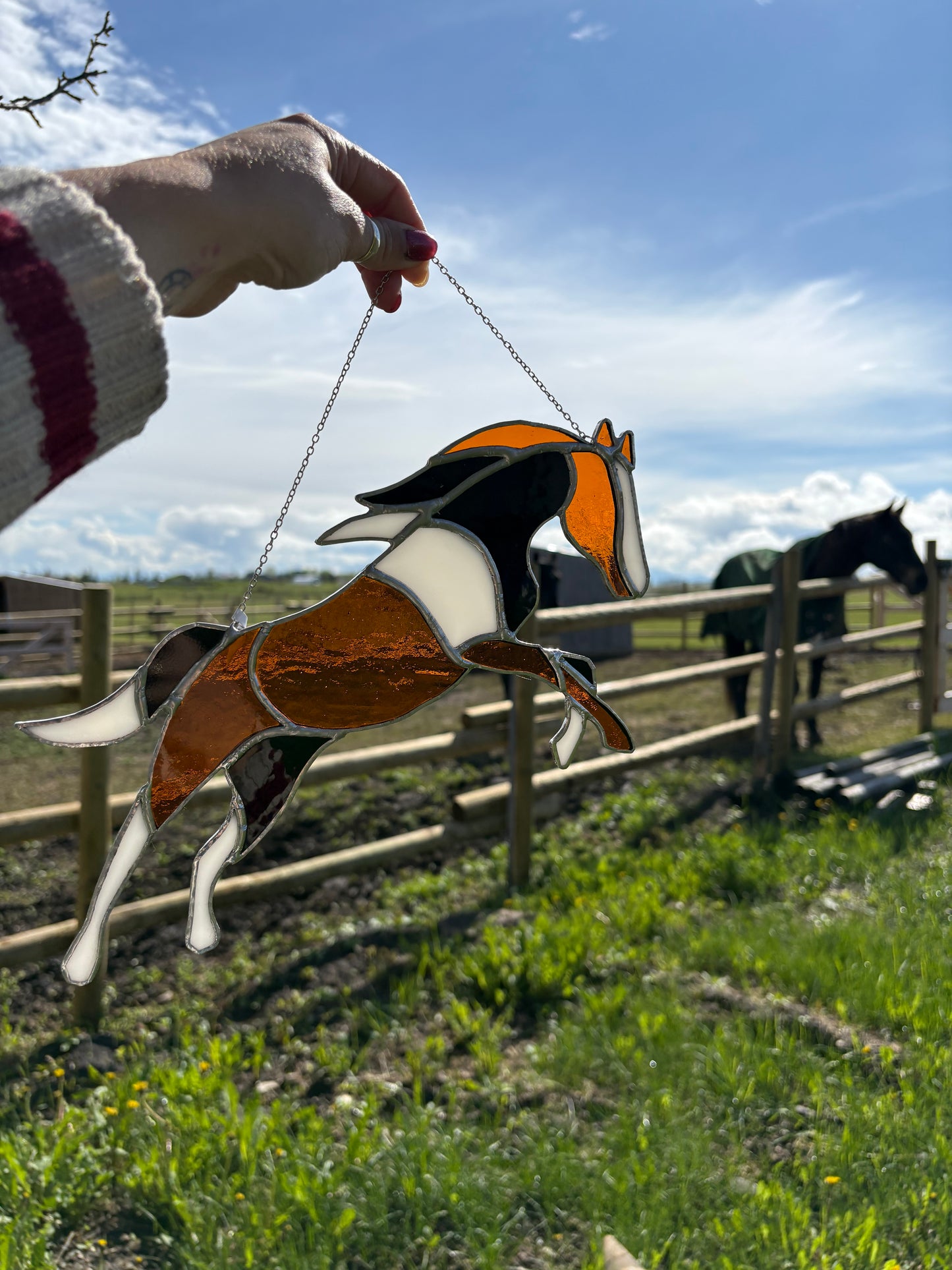 Painted Pony