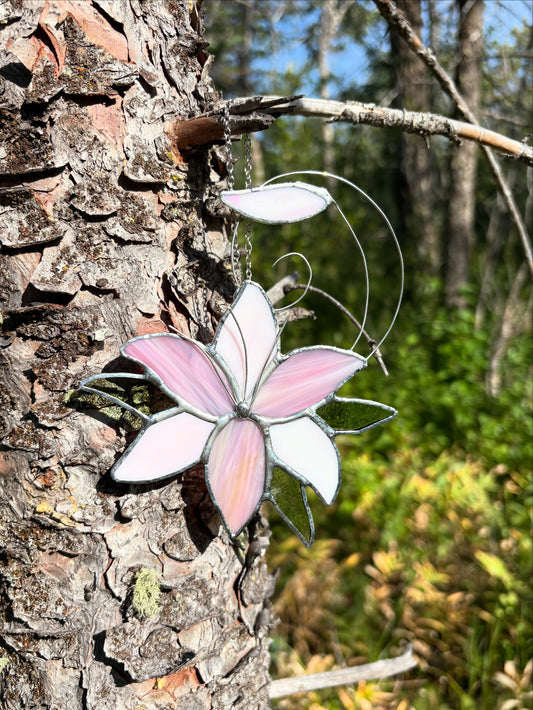 Lily - Pink