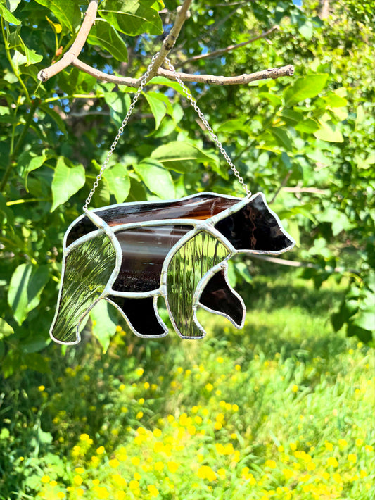 Black Bear
