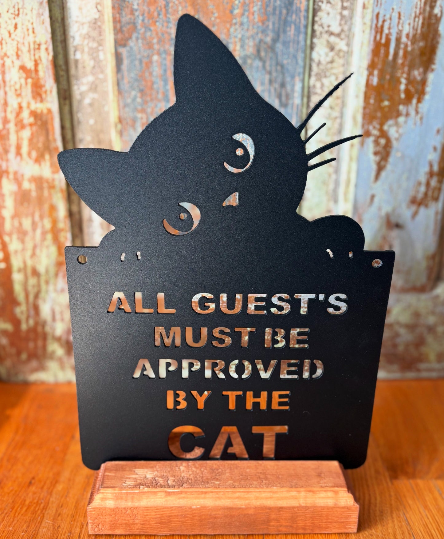 Approved by the Cat - kitten
