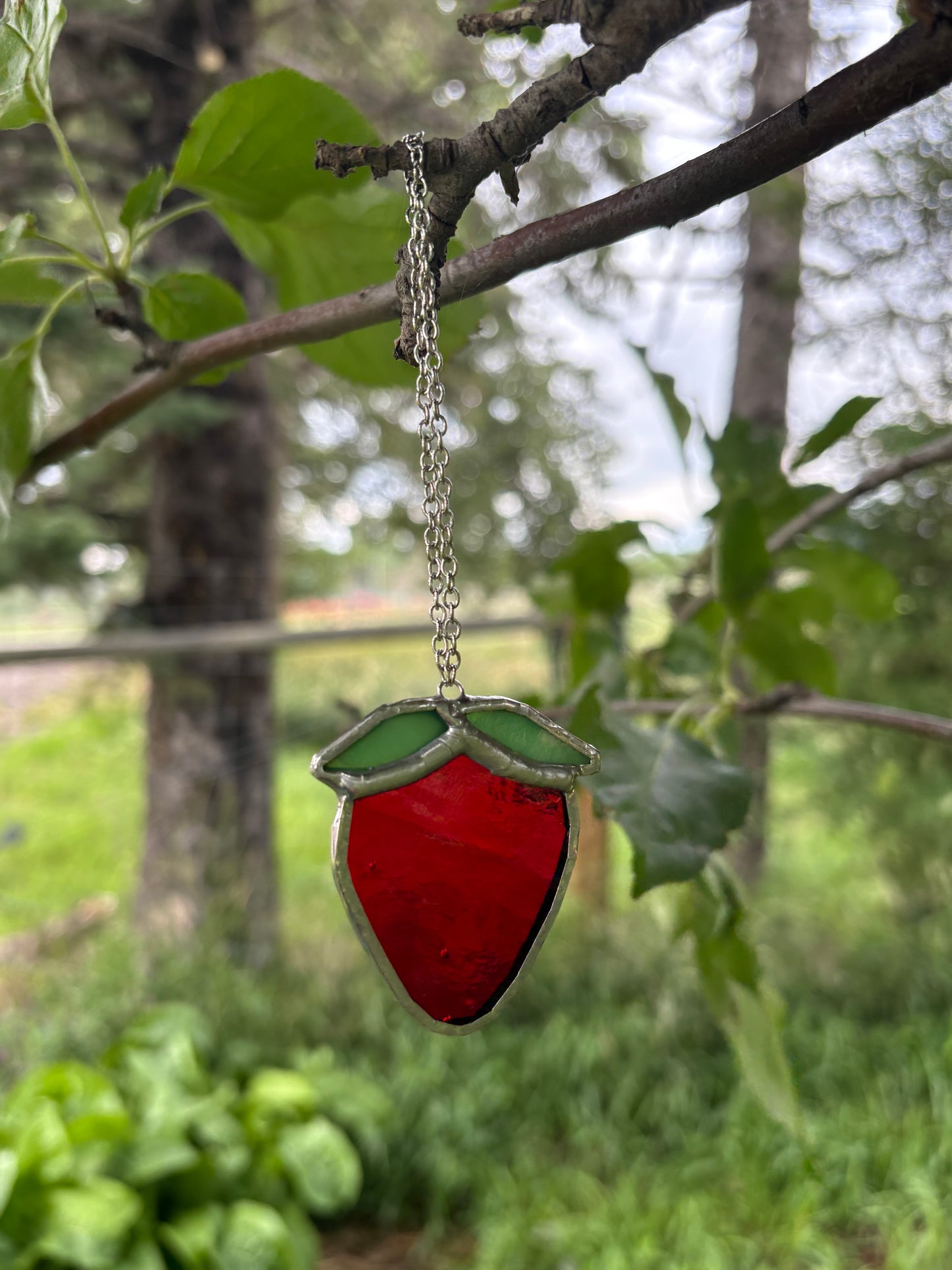 Strawberry - Red