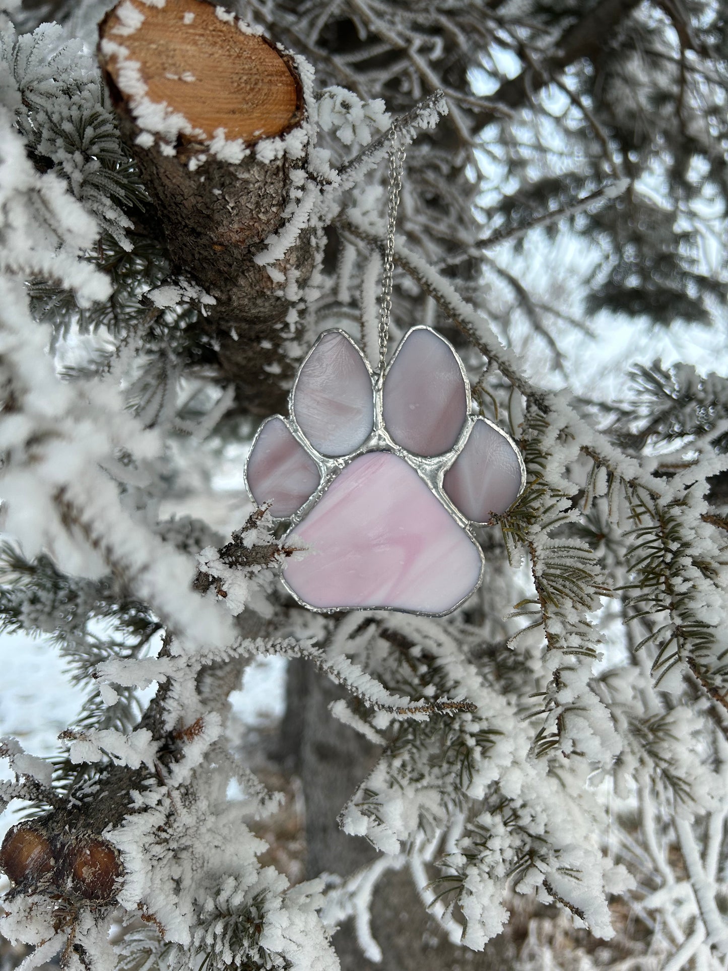 Blush Lg Paw Print